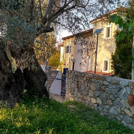 9 Musses Hotel Apartments Skala Mistegnon Bagian luar foto
