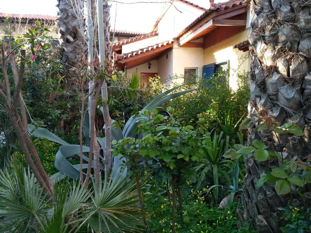 9 Musses Hotel Apartments Skala Mistegnon Bagian luar foto