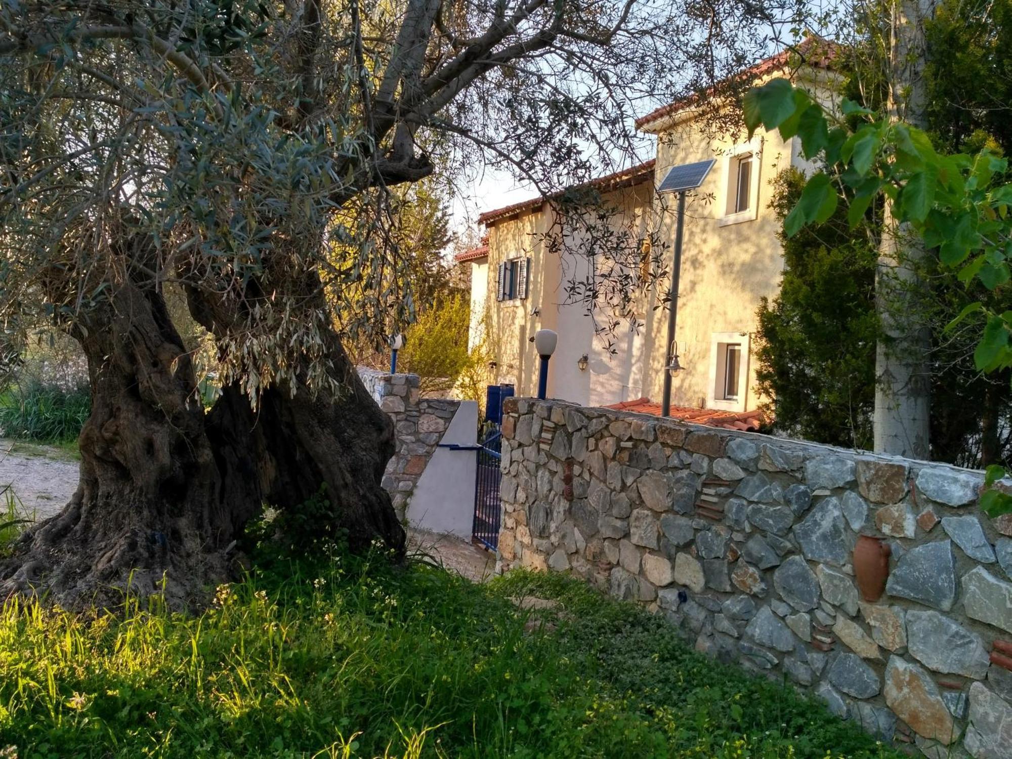 9 Musses Hotel Apartments Skala Mistegnon Bagian luar foto