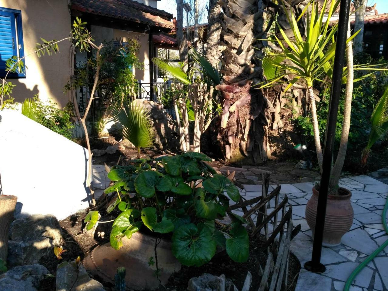 9 Musses Hotel Apartments Skala Mistegnon Bagian luar foto